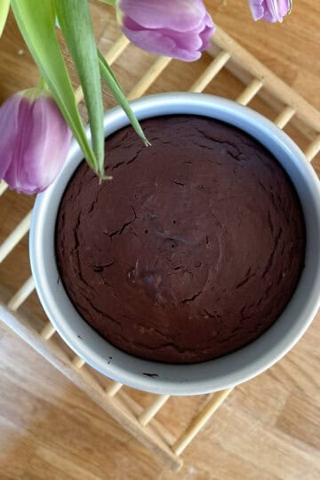 Simple Chocolate French Yogurt Cake
