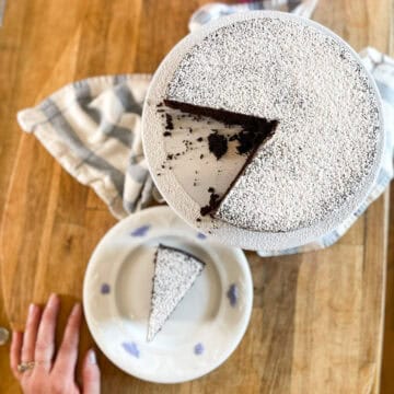 single layer round chocolate cake with slice removed exposing crumbs and rich chocolatey interior the top of the cake is sprinkled with powdered sugar and it sits on a white cake stand with a bowl of fresh eggs nearby
